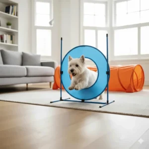 A portable indoor agility kit featuring a small hoop and tunnel for active interactive play.