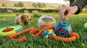 Detailed view of eco-friendly fetch toys made from sustainable materials, including a recycled rope and a treat-dispensing ball.