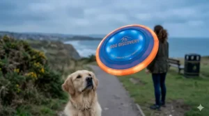 A high-visibility, glowing soft frisbee for dogs being thrown during an evening walk on a coastal path.