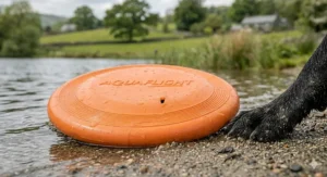 A high-resolution photorealistic photograph capturing the specific orange rubber 'AQUAFLIGHT' frisbee resting at the water's edge of a natural lake, partially submerged on wet sandy and pebbled lakeshore. Natural soft daylight illuminates the scene, making the durable rubber texture clearly visible, with small water droplets beading on its surface. Detailed wear marks reinforce the product's toughness. Next to the frisbee, a muddy wet black Labrador paw is visible on the sand against a softly blurred background of lake water and rolling hills.