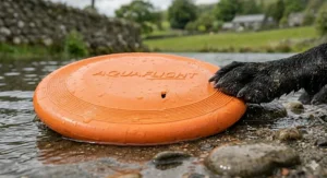 A hyper-photorealistic close-up photograph capturing the textures of the orange 'AQUAFLIGHT' frisbee and a black Labrador's muddy paw. The frisbee is resting partially submerged at the water's edge of a natural lake, illuminated by soft natural UK daylight. The focus is critically sharp on the frisbee's surface, where a single puncture mark and superficial scratch on the durable, textured natural rubber surface are visible. A muddy, webbed black Labrador paw from the same dog is seen resting near the frisbee's edge.