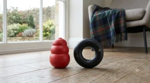 Comparison of a durable Goughnuts ring and a Kong Extreme rubber toy side-by-side on a wooden floor in a British home.