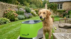 A close-up view of an automatic ball launcher for dogs positioned on a garden table, with a golden retriever looking towards it.