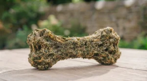 An innovative, ocean-friendly dog chew bone made from seaweed