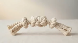 Versatile cotton rope toy being used for both a game of gentle tug and a game of fetch on the lawn