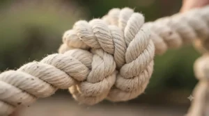 Close-up of a heavy-duty cotton weave on a robust dog rope toy built to withstand powerful chewing and pulling