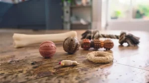A selection of budget-friendly flavoured dog toys displayed in various sizes suitable for small, medium, and large breeds.