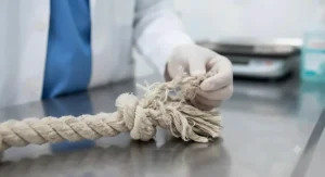 Veterinary guidance graphic illustrating why frayed rope tug toys should be inspected and replaced for dog safety.
